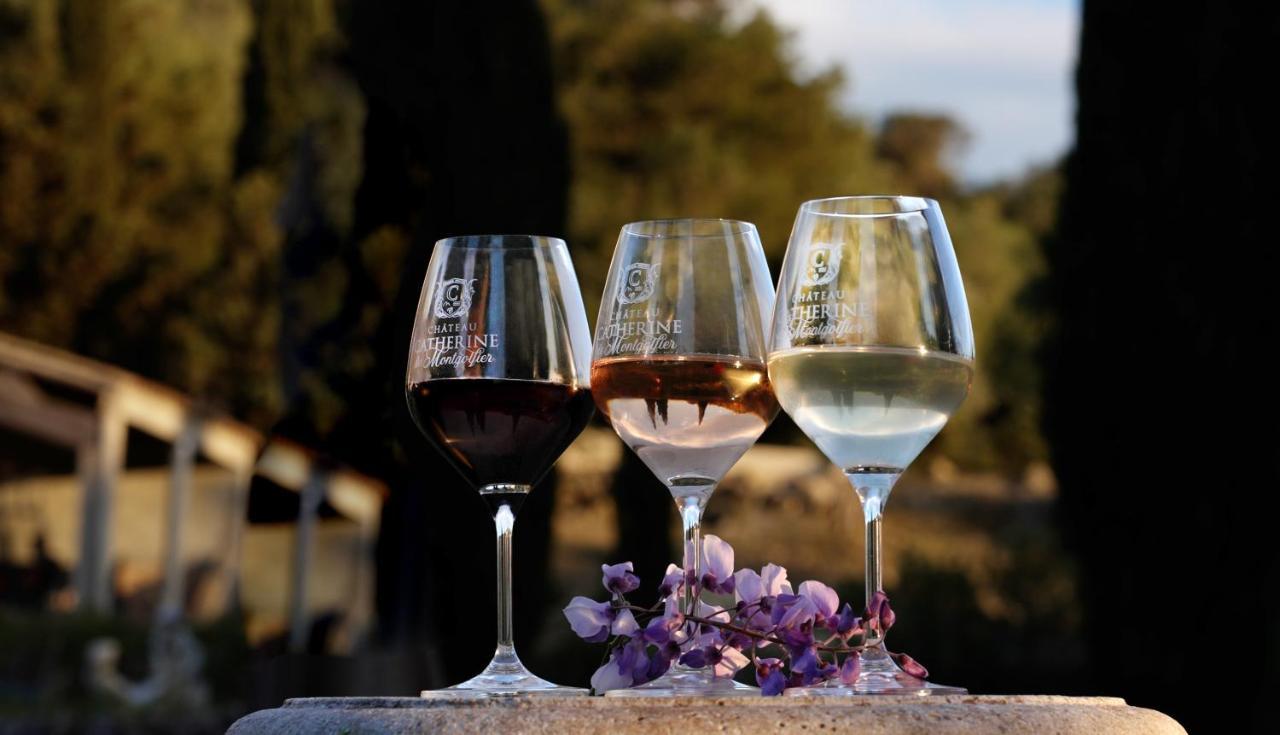 Chateau Catherine De Montgolfier Et *