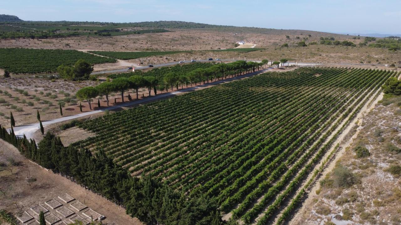 Chateau Catherine De Montgolfier Et * Narbonne
