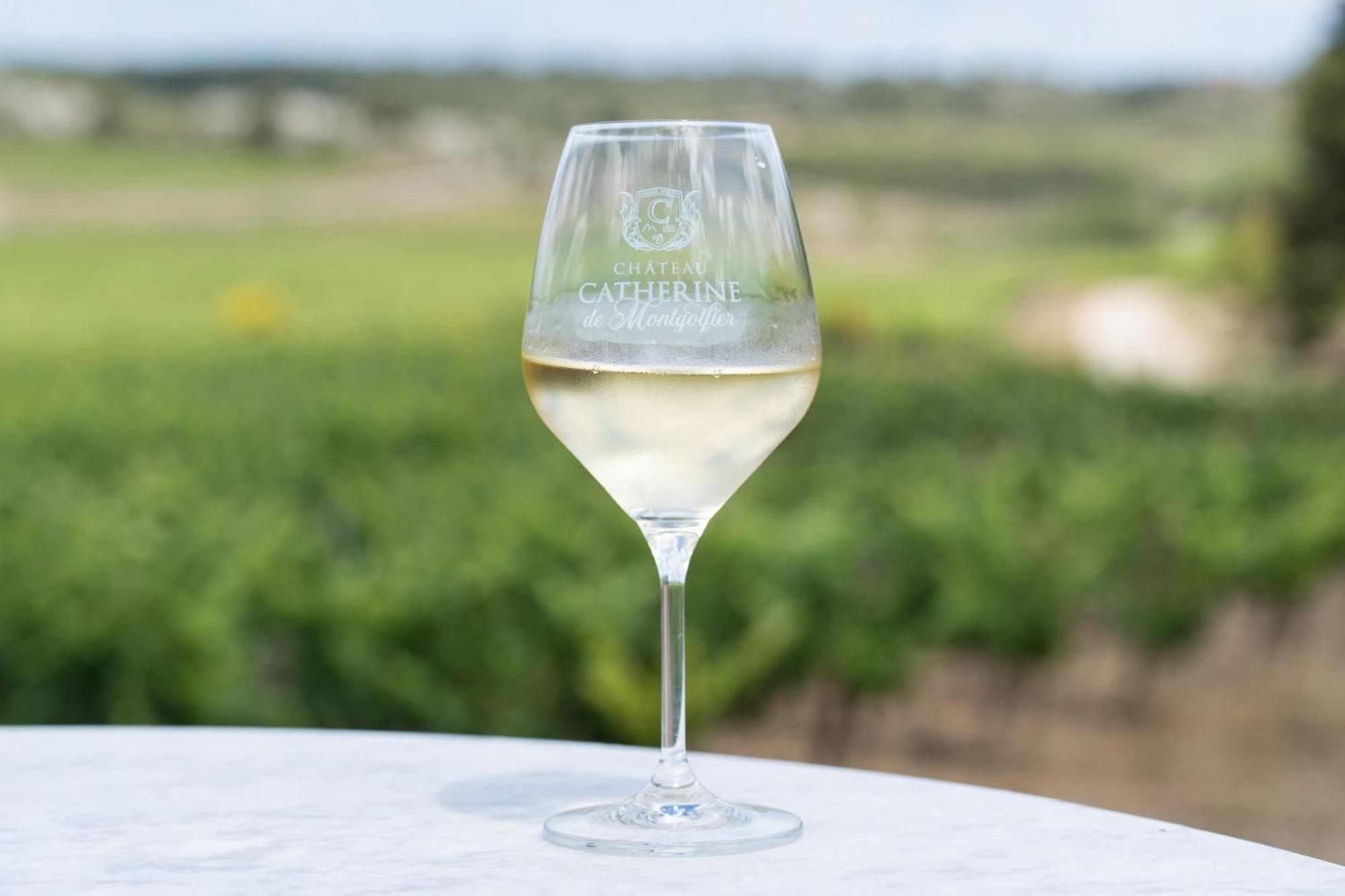 Chateau Catherine De Montgolfier Et Narbonne