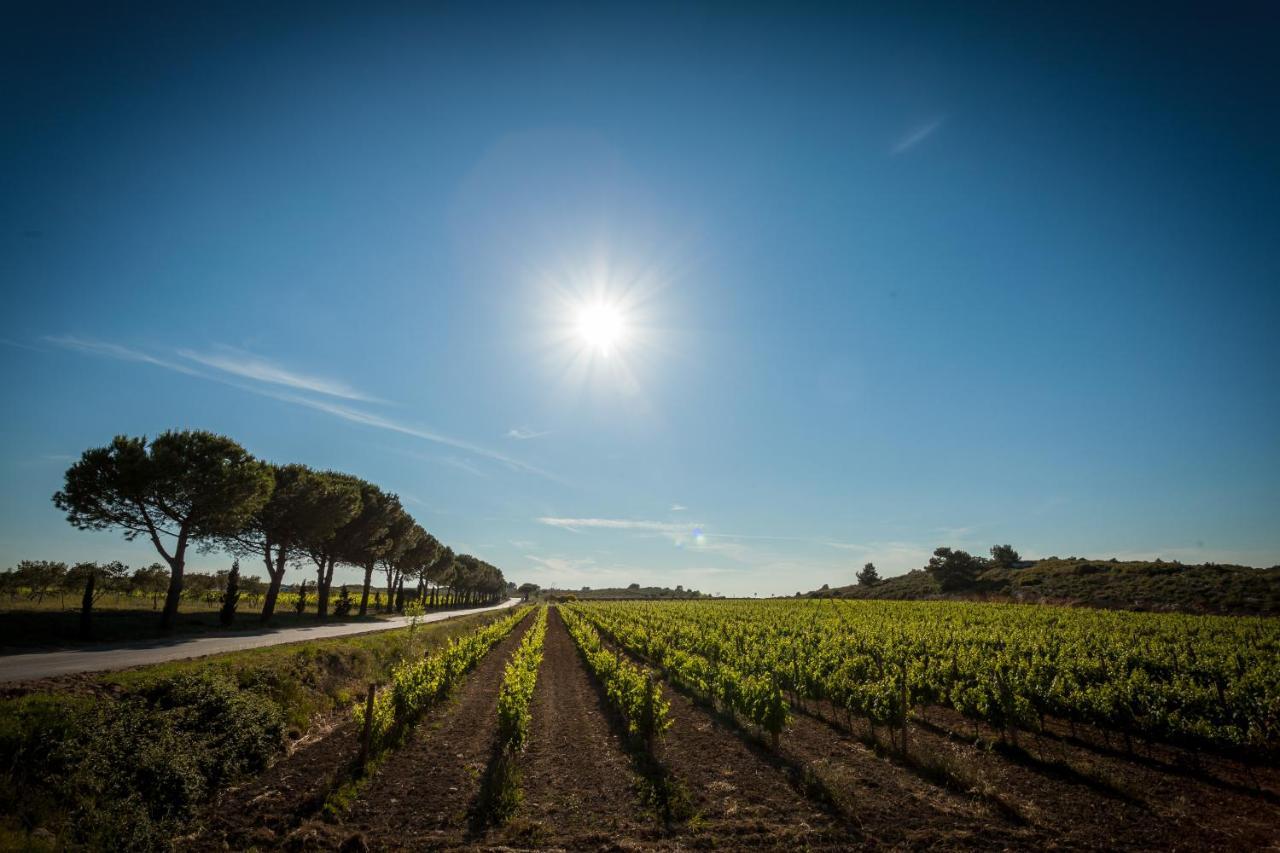 Bed & Breakfast Chateau Catherine De Montgolfier Et Narbonne